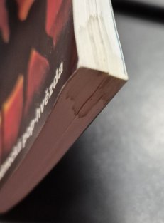 Karel May - První německá pop hvězda