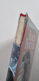 Nejmocnější hrdinové Marvelu #022 : Black Panther