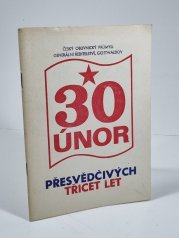 Přesvědčivých třicet let - 