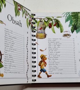 Příručka pro kluky dobrodruhy