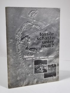Fossile Schätze Unter Müll? Messel - Leben vor 50 Millionen Jahren