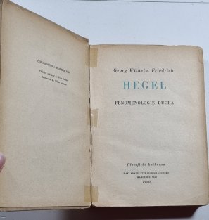 Fenomenologie ducha