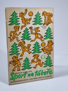 Sport na táboře