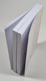 Václav Davídek - cestou necestou