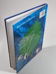 Malé vodní elektrárny