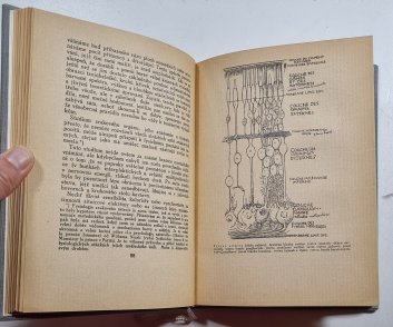 Tvoření v uměním výtvarném