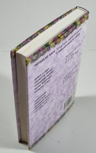 Casteel 5 - Pavučina snů 