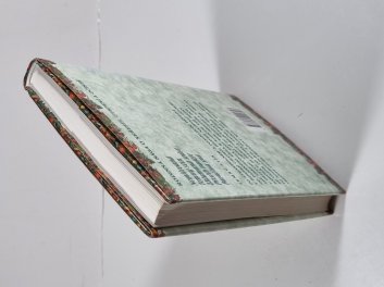 Casteel 1 - Nemilovaná