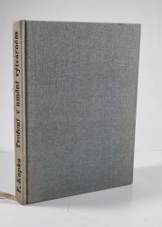 Tvoření v uměním výtvarném - 