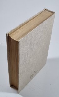 Slovník české frazeologie a idiomatiky - Přirovnání 