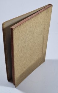 Vybrané stati paedopsychologické a paedopathologické