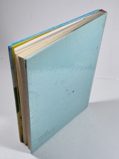 Knížka Ferdy mravence