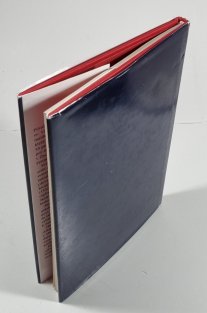 Historické obrazy života a umučení Svatého Václava knížete českého