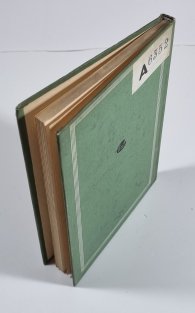 Hrad Zvolen (slovensky)