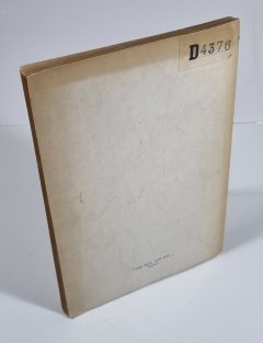 Politická práce v masách