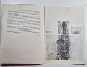 Šmidrové - Krajská galerie Hradec Králové