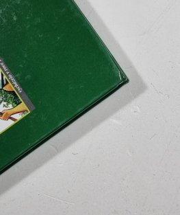 Kniha komiksů - Miloslav Havlíček