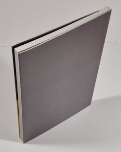 Vladimír Janoušek - Proč to dělám právě tak