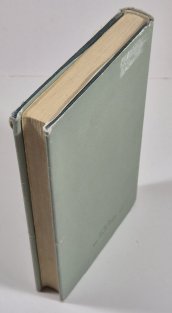 Popis jednoho zápasu