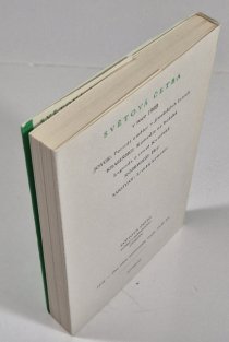 Portrét umělce v jinošských letech