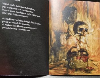 Ozvěna umdlených stínů