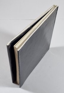 Pablo Ruiz Picasso (slovensky)