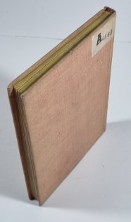 Majakovskij výtvarník