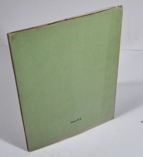 Křivý úsměv ještěrský