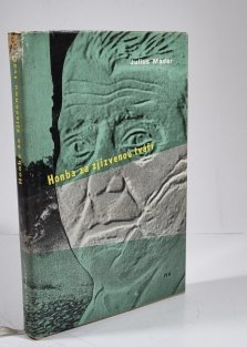 Honba za zjizvenou tváří