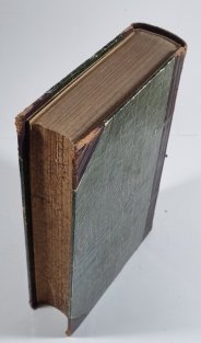 Politické dějiny národa českého od roku 1861 až do nastoupení ministerstva Badenova r. 1895