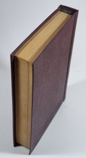 Nizozemská politika a Bílá hora