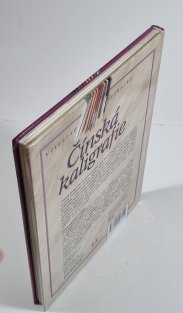 Čínská kaligrafie