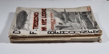 Trosečníci na kře ledové