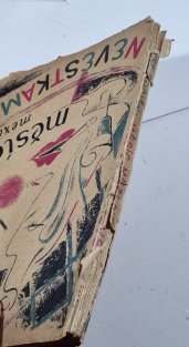 Měsíc mezi nevěstkami - Reportáž