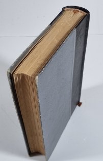 Na dvoře habsburském