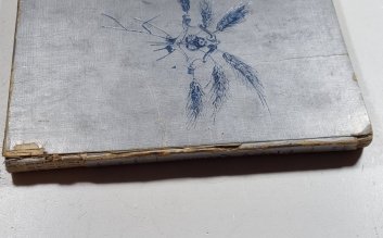 Manon Lescaut - Lyrisches drama in 4 acten (Clavierauszug mit tex)