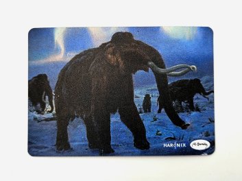 Zdeněk Burian - Magnetky na lednici (sada 4ks)