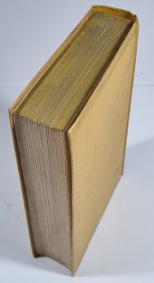 Japonsko a jeho světový výboj