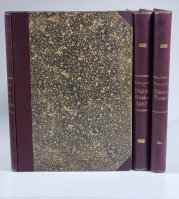 Dějiny Ruska / Dějiny ruské revoluce 1917 / Dějiny občanské války v Rusku 1917-1921 - 