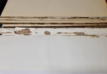 ...hladem v nadbytku