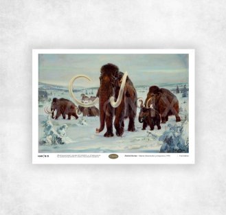 Zdeněk BURIAN - Mamut (Mammuthus promigenius) - s mládětem (1950) - A4 