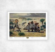 Zdeněk BURIAN - Allosaurus a Stegosaurus (1950) - A4 - 