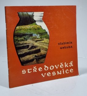 Středověká vesnice Pfaffenschlag ve světle archeologického výzkumu