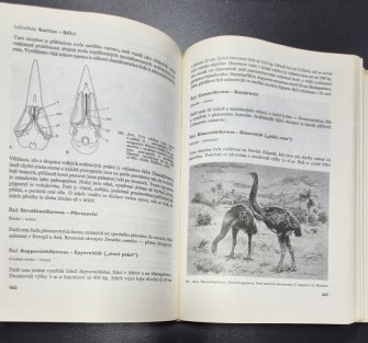 Paleontologie obratlovců