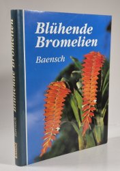 Blühende Bromelien - 