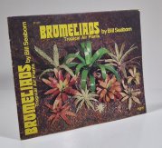 Bromeliads - Tropical Air Plants - 