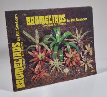 Bromeliads - Tropical Air Plants