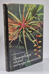 Zimmerpflanzen von heute und morgen: Bromeliaceen - 