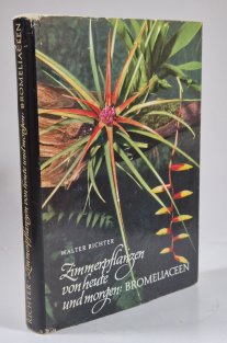 Zimmerpflanzen von heute und morgen: Bromeliaceen