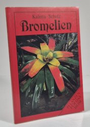 Bromelien - 